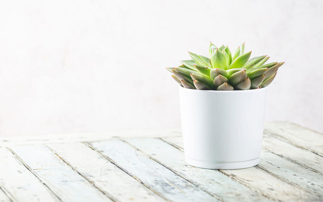 Hier steht eine Überschrift