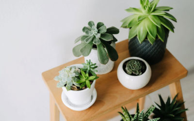 Ein neuer Beitrag im Ratgeber