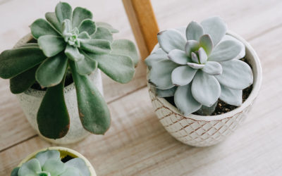 Hier steht eine etwas längere Überschrift eines Beitrags